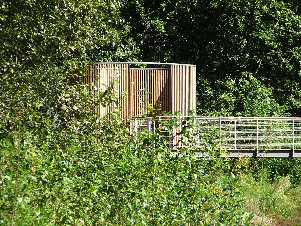 Elevated wooden walkway with railings winds through dense green trees.