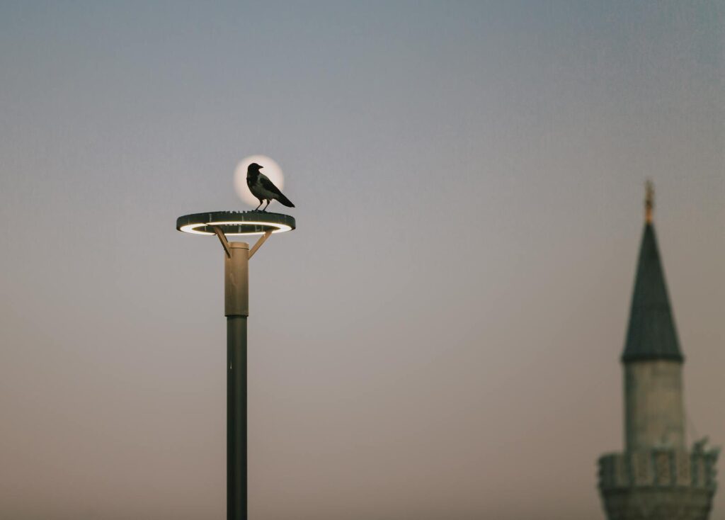 A bird perched on a lamppost with a minaret in the background during dusk, creating a serene silhouette.