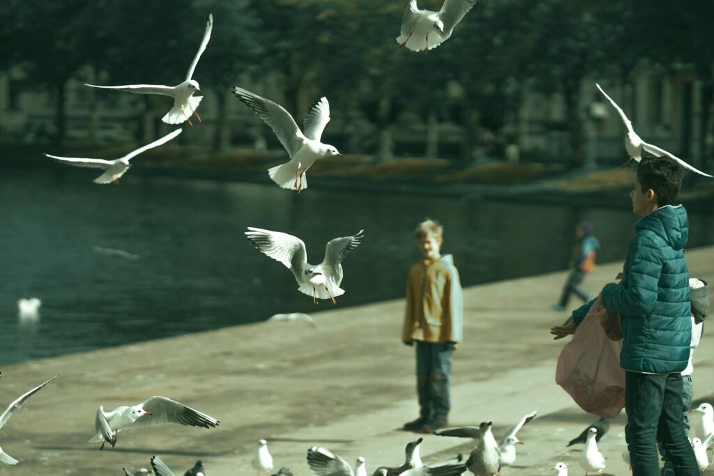 Children enjoy feeding seagulls by the riverside, creating a lively scene with birds in motion.