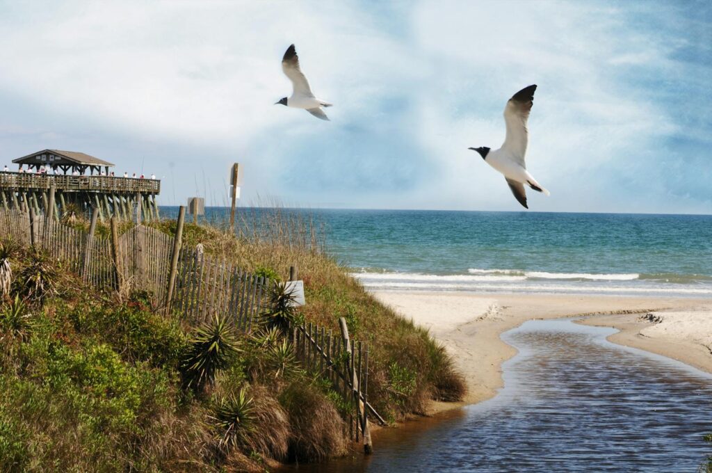 Two Laughing gulls fly over the beach and ocean under a partly cloudy sky.