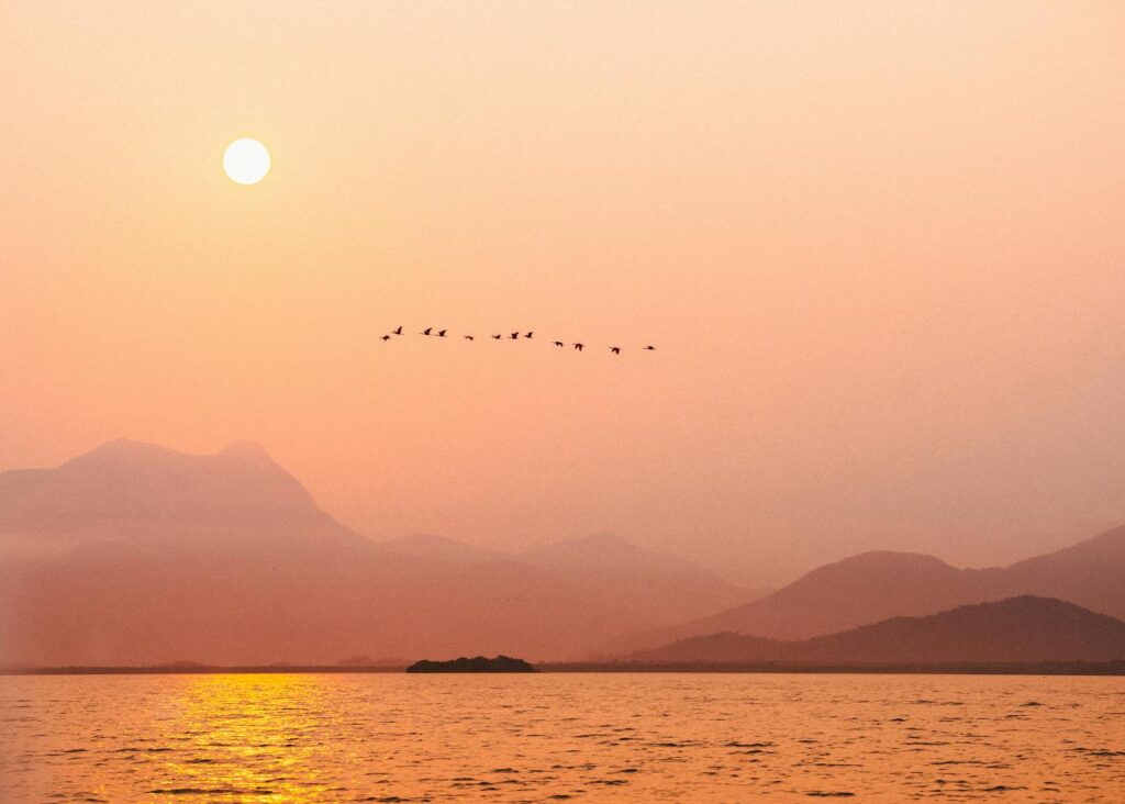 Beautiful sunset scene with birds flying over a calm sea and distant mountains.