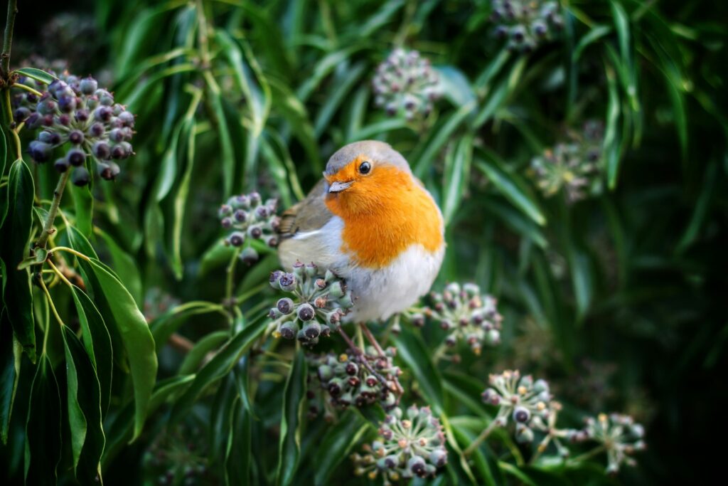 white and yellow bird perching on a green petaled flower