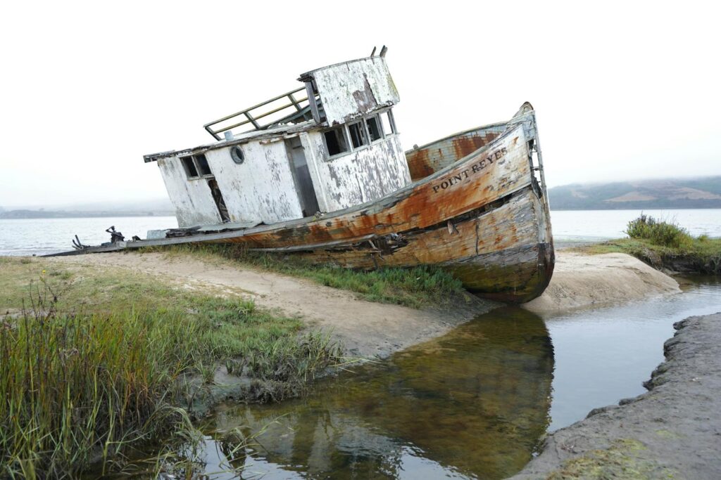 Explore the rustic beauty of a shipwreck at Point Reyes, California's rugged coast.