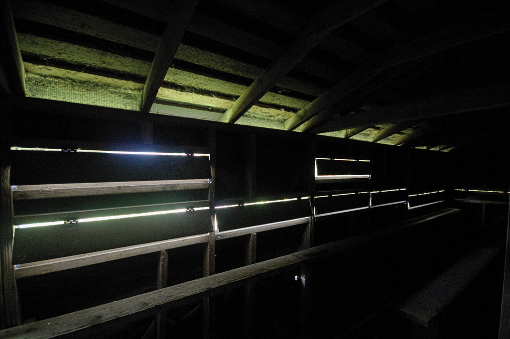 Light streams through narrow openings into a dark bat roosting space.