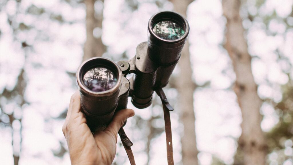 Close-up of a hand holding binoculars in a forest, captured outdoors with blurred trees.