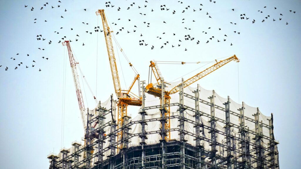 Flock of birds flying above construction crane on high-rise building site