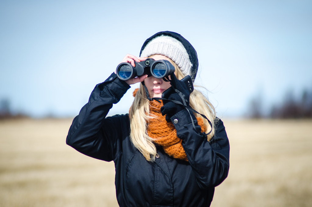 A person with binoculars is looking at birds.