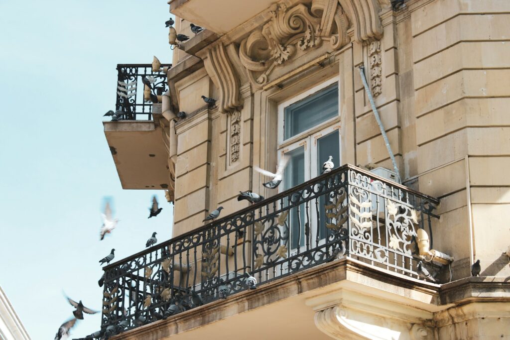 A flock of birds flying around a building.
