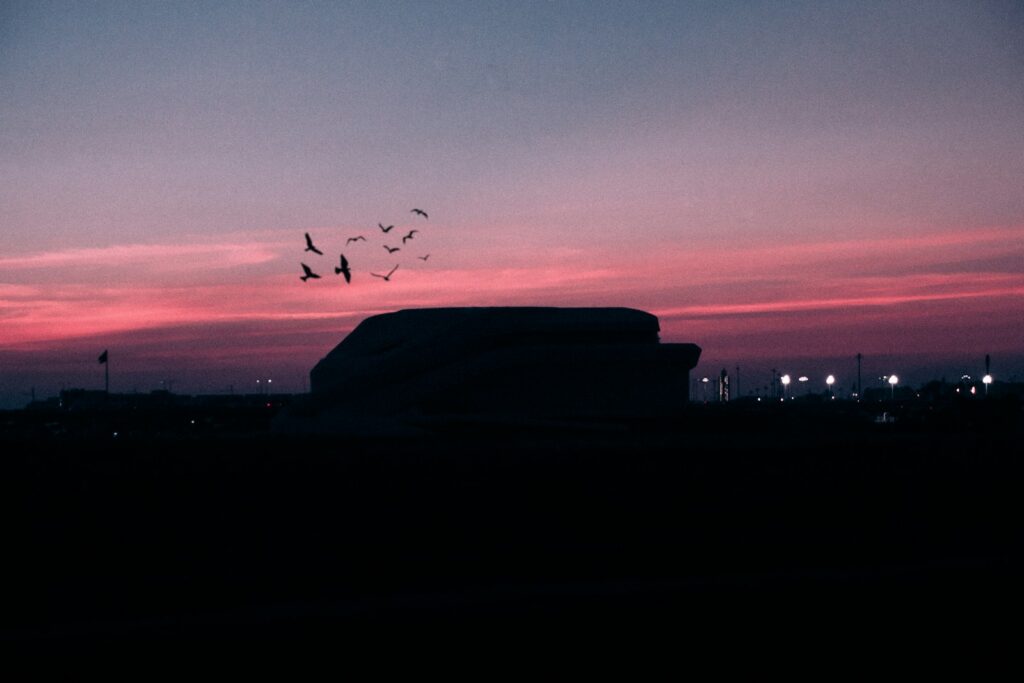 Swallows flying in formation against a dusky sky.
