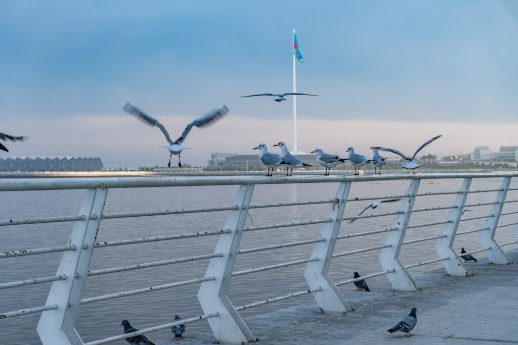 Seagulls are perched along a waterfront railing.
