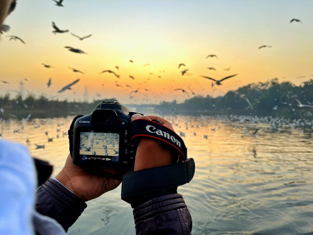 A person taking a picture of a flock of birds.