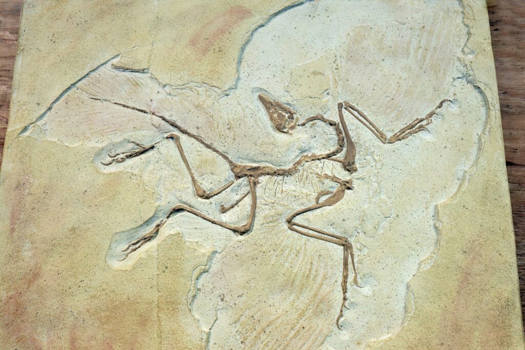 A stone carving of a bird on a wooden table.