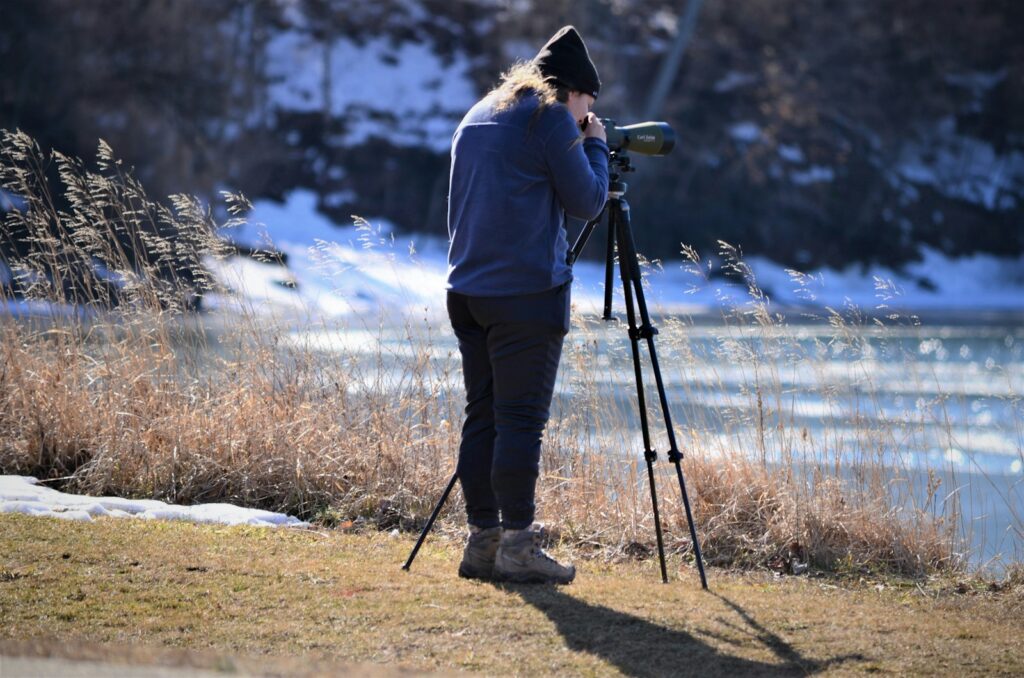 A person uses a spotting scope on a tripod for birding near a partially frozen body of water.