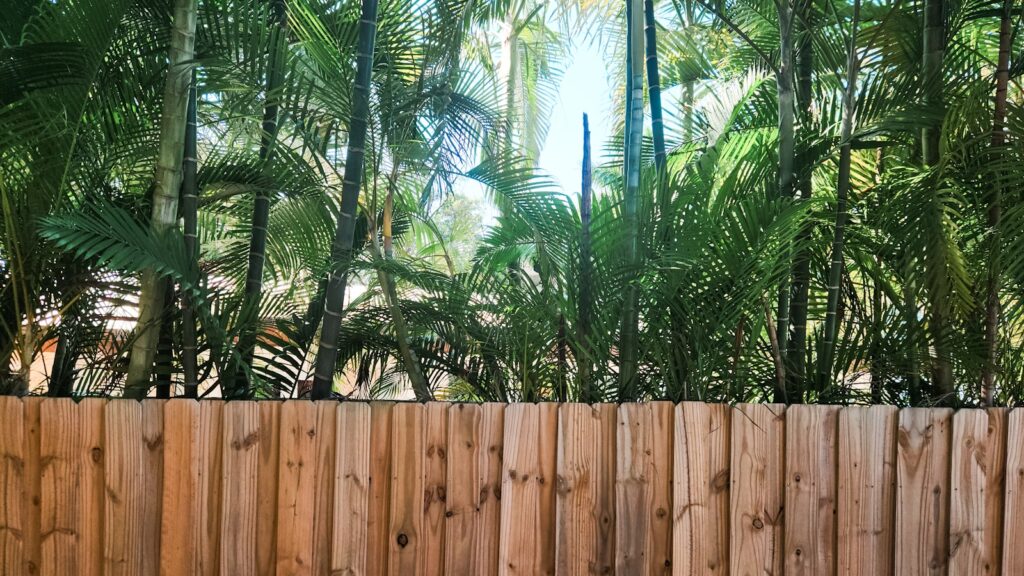 A wooden fence with palm trees in the background