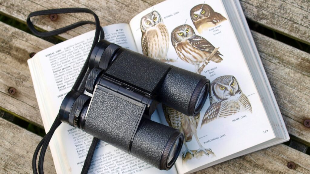 Binoculars rest on an open book illustrating different types of owls.