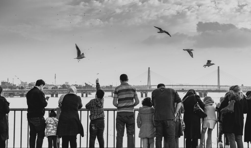 A group of people watch gulls flying over a body of water.