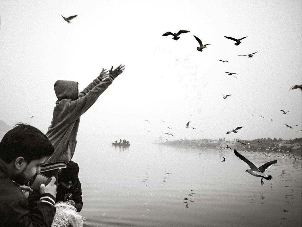 Many birds fly over a misty body of water where people are present.