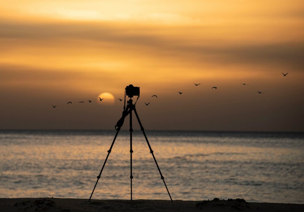 A camera on a tripod captures birds flying over the sea at sunset, possibly for birding.