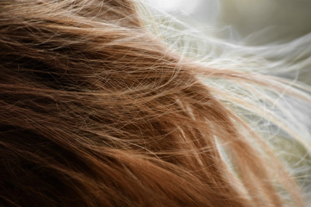 A close-up view of strands of light brown and blonde hair.