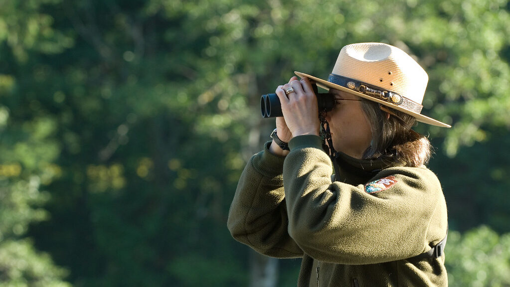 Binoculars held by a person focused on distant birds for observation.