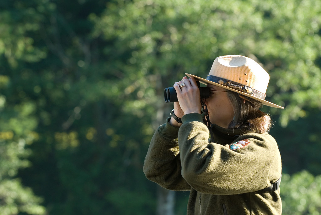 Binoculars held by a person focused on distant birds for observation.
