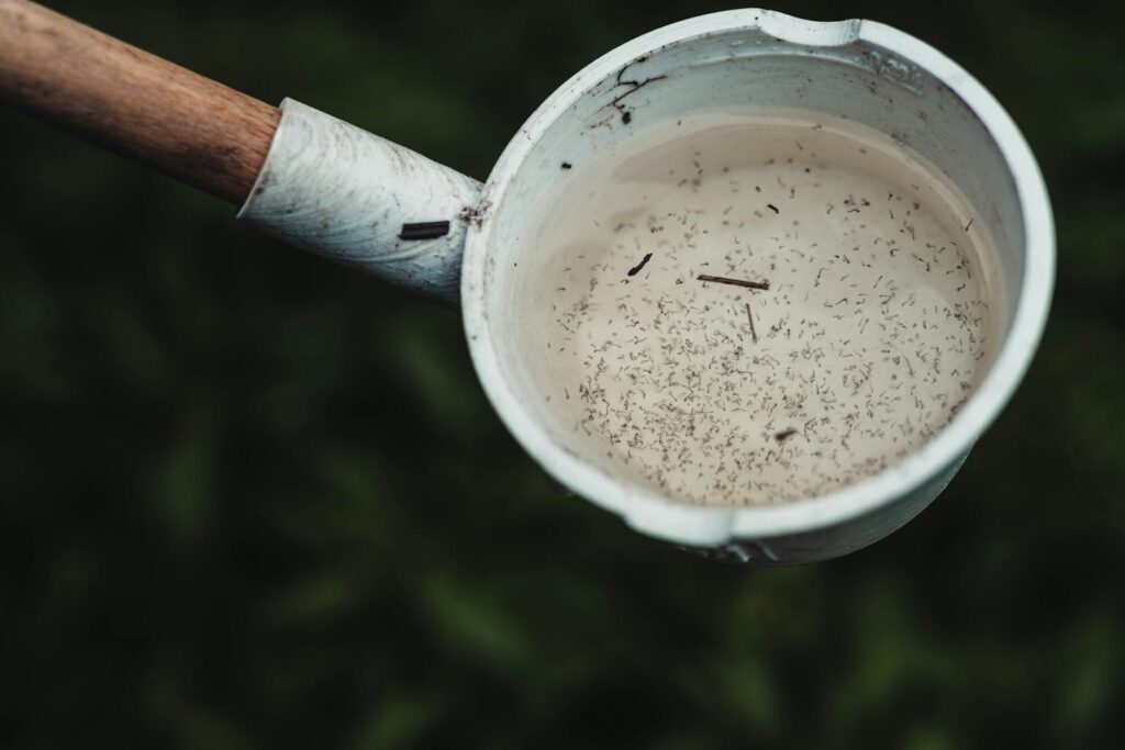 Close-up view of mosquito larvae in a scoop of water, highlighting potential breeding site.