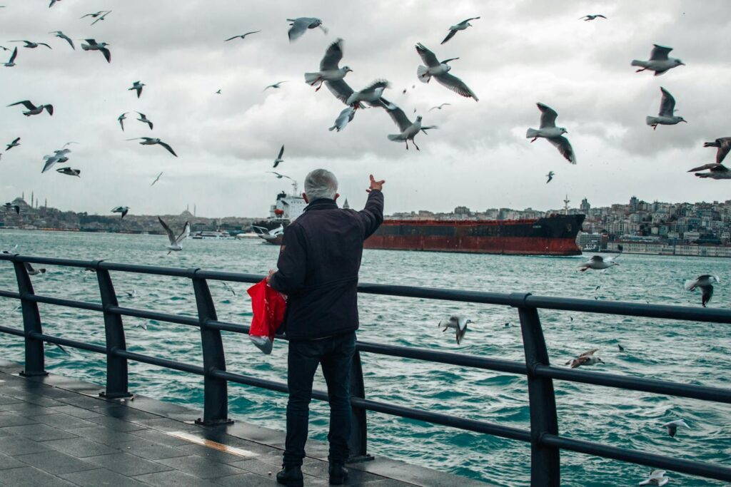 A man feeding seagulls by the water with a city skyline and ships in the background.