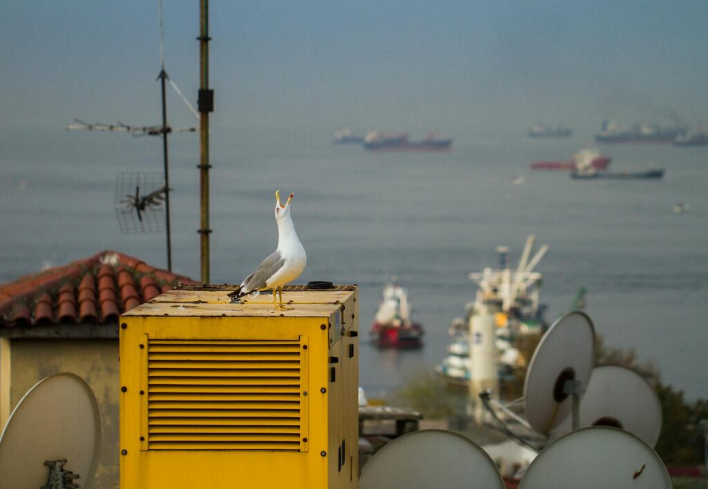 A seagull perches on a yellow rooftop unit with ships.