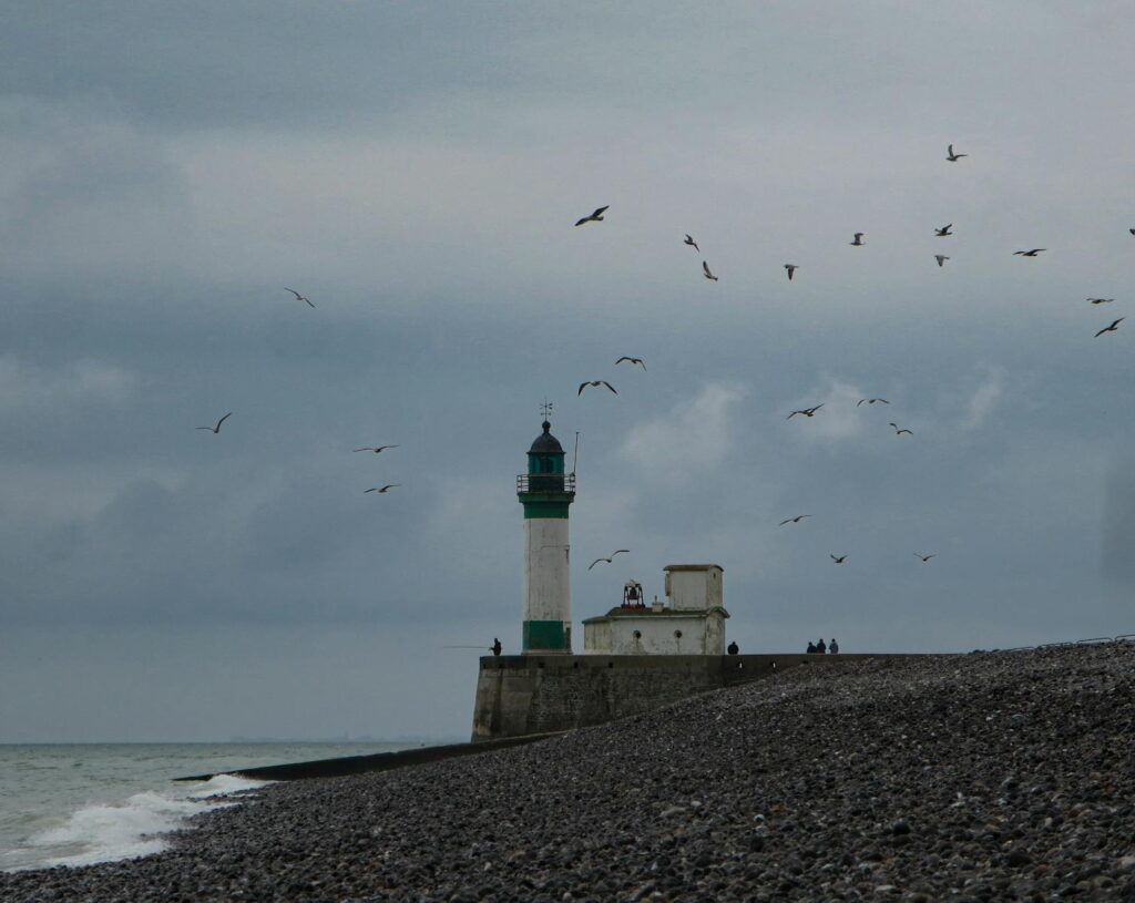 A lighthouse on a rocky shore with flying birds and a cloudy sky, depicting coastal tranquility.