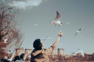 A man feeds seagulls in a city park with buildings in the background on a clear day.