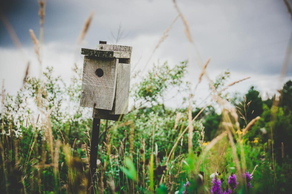 A wooden birdhouse stands in a vibrant, wildflower-filled countryside field under a cloudy summer sky.