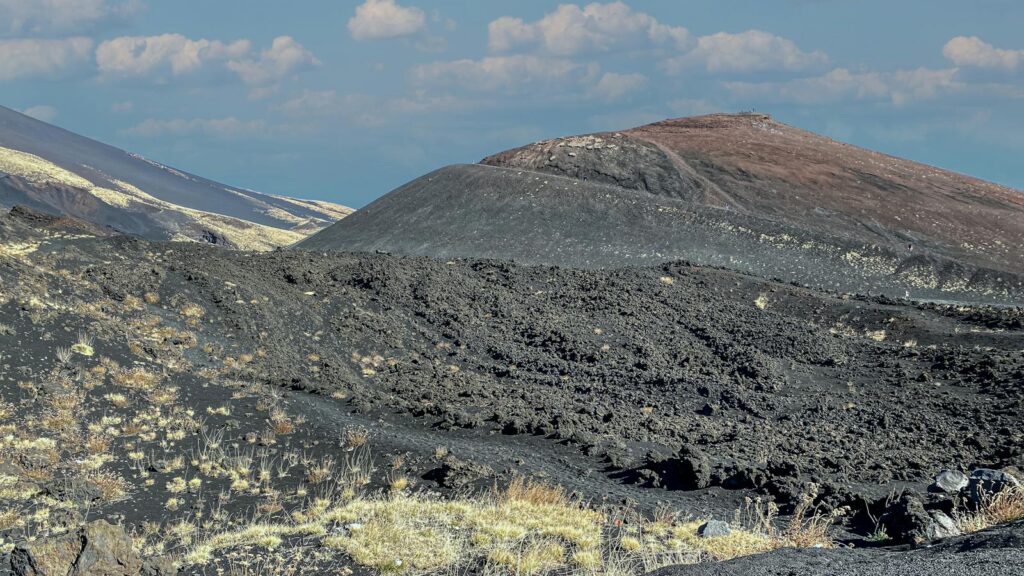 Grass growing on black, fertile volcanic ground