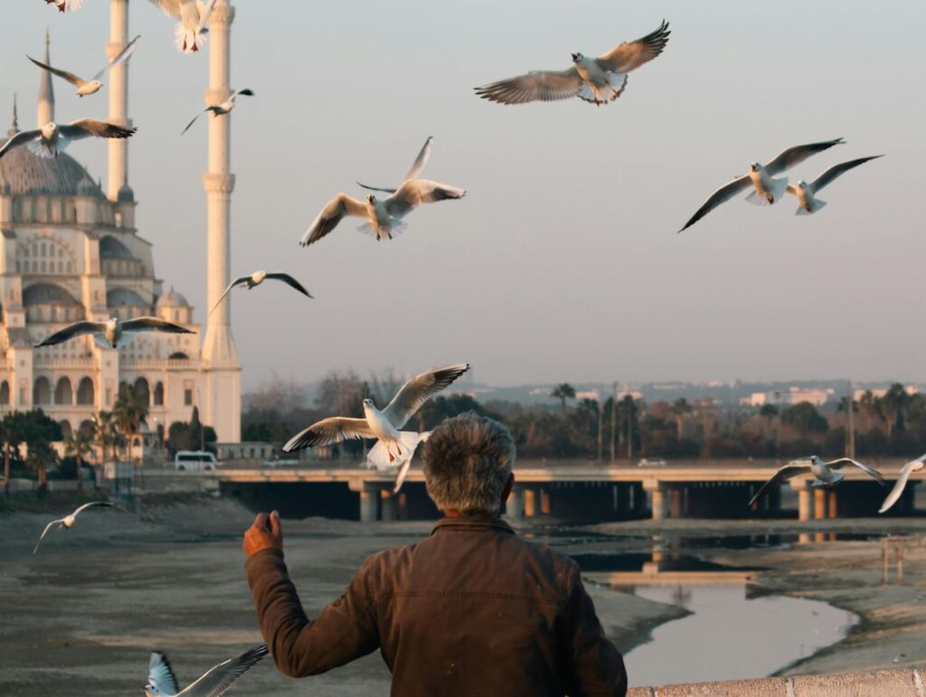 A man feeds seagulls in front of a majestic mosque during the day.