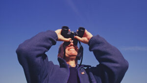 Man birdwatching with binoculars under a clear blue sky