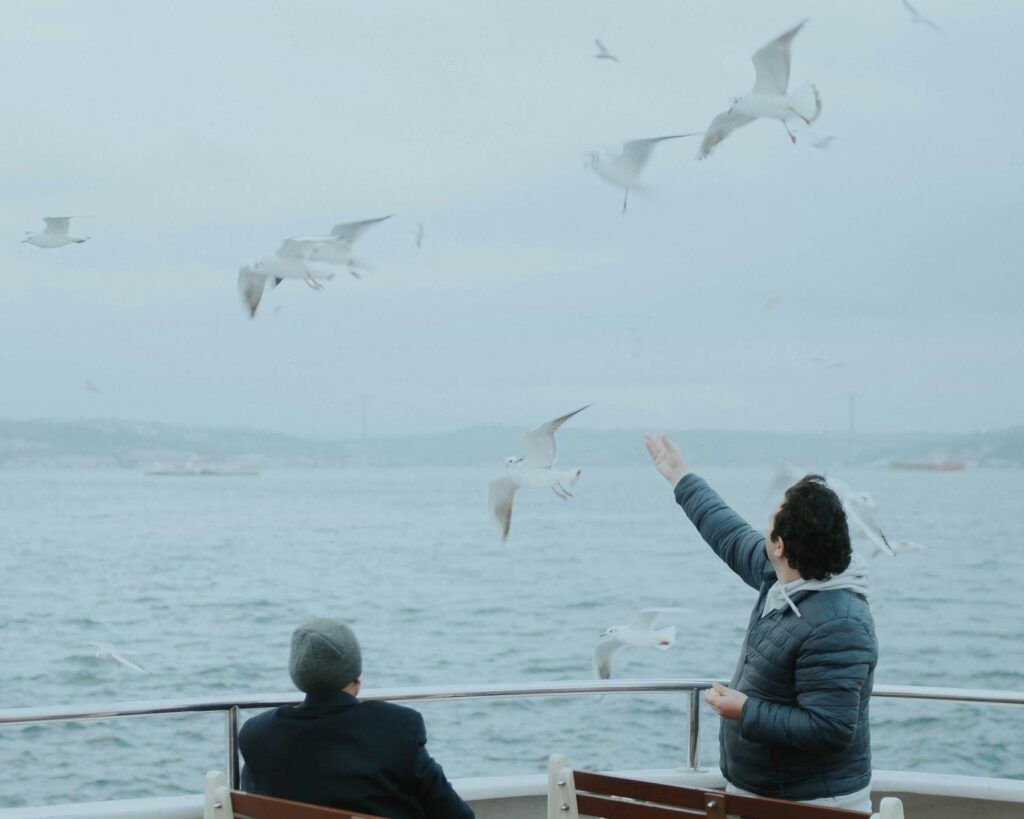 Two men on a ferry are enjoying seagulls flying over the sea.