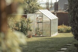A house stands in a bird-friendly yard.