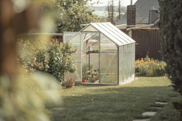 A house stands in a bird-friendly yard.