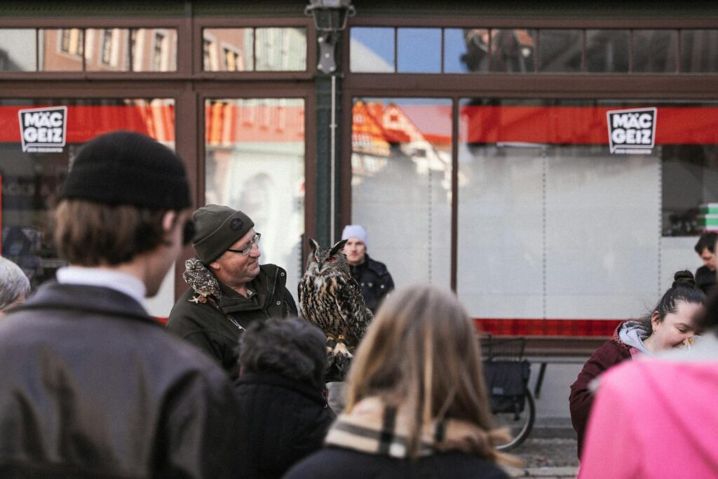A man is showcasing an owl to other friends in an urban area.