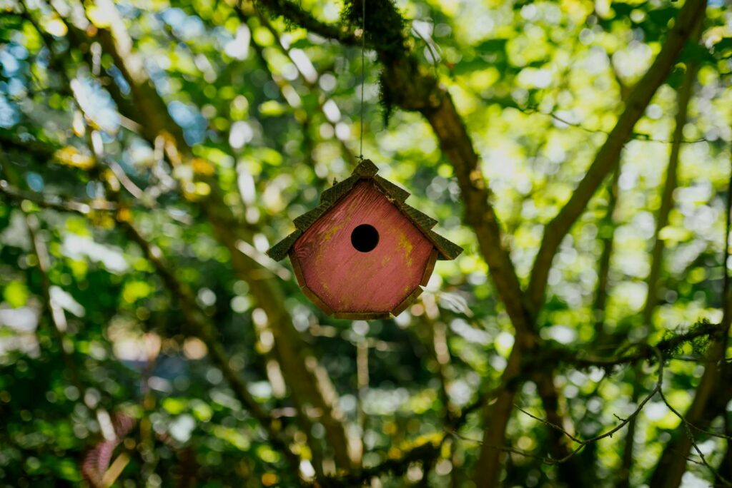 A vibrant pink birdhouse hangs among lush green trees, illuminated by sunlight.