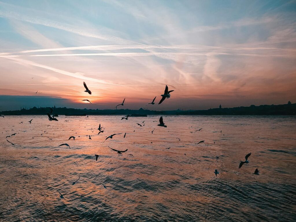 Birds fly over reflective water under a vibrant, colorful dusk sky.