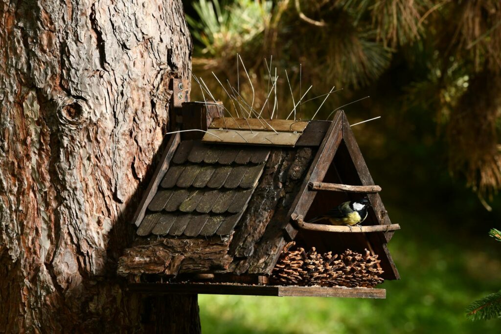 Close-up of a wooden birdhouse attached to a tree, featuring a great tit.