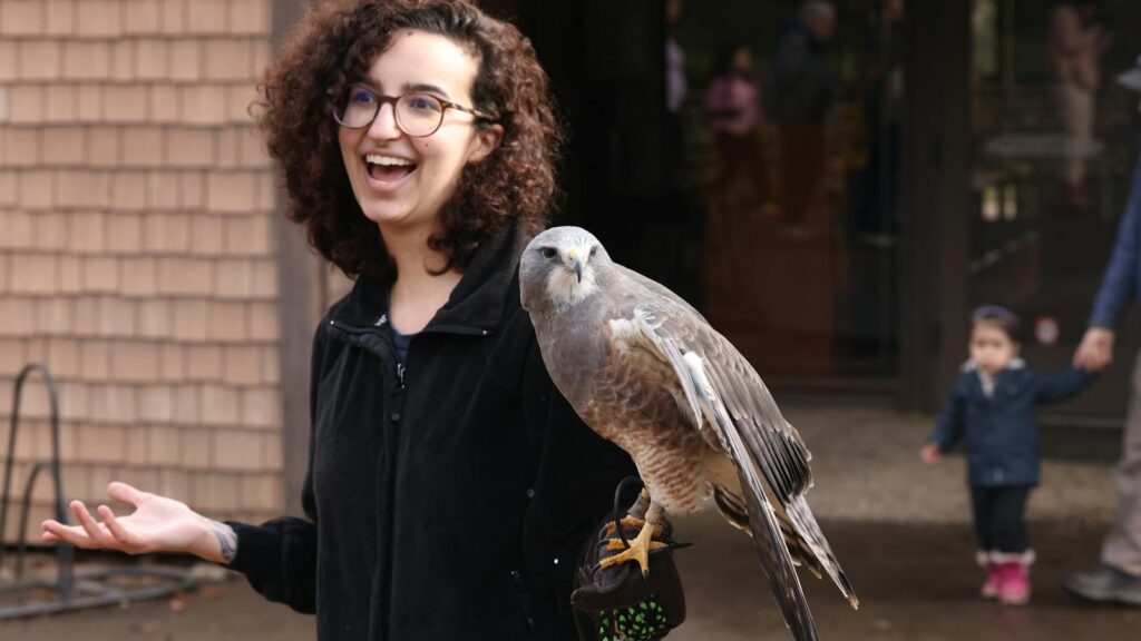 Smiling woman holding a bird of prey during a falconry demonstration.