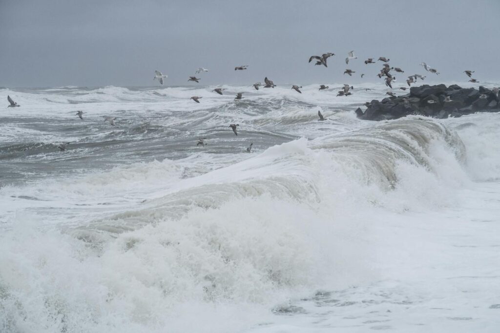 Seagulls flying above stormy ocean waves crashing onto rocky coastline. Dynamic and dramatic seascape.