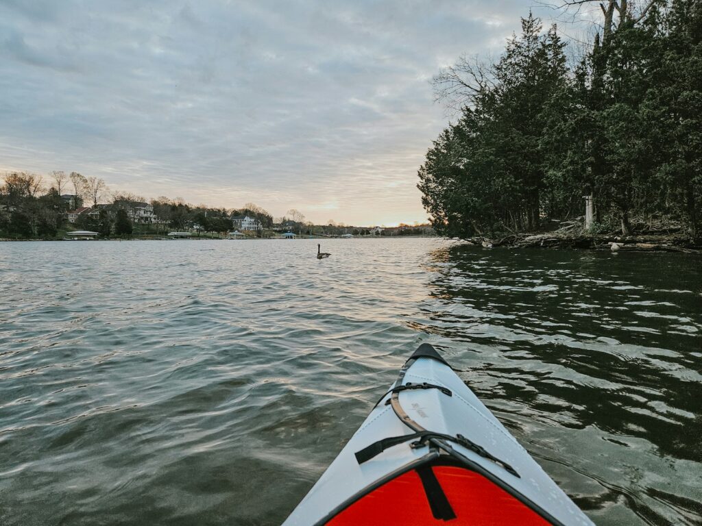 A Canada goose takes flight from the water near a person in a kayak.