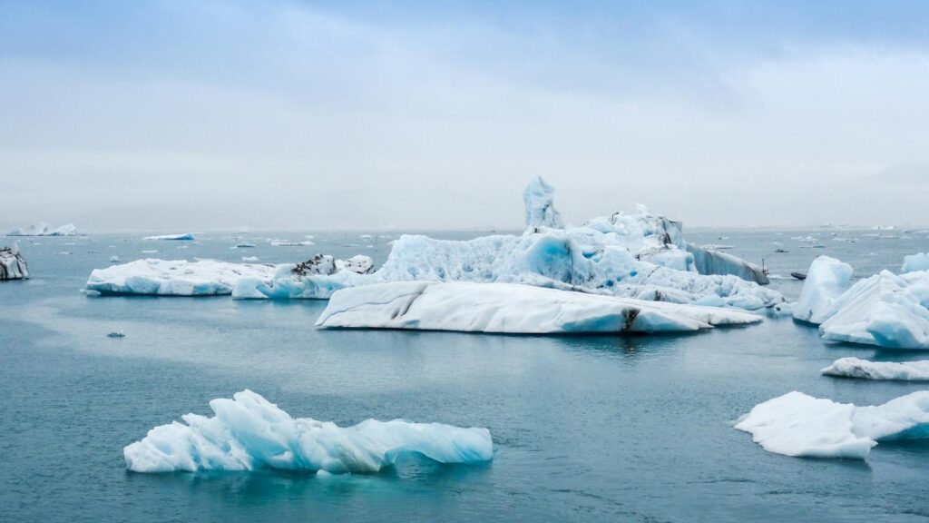 Icebergs melting and floating in the ocean, signifying rising global temperatures