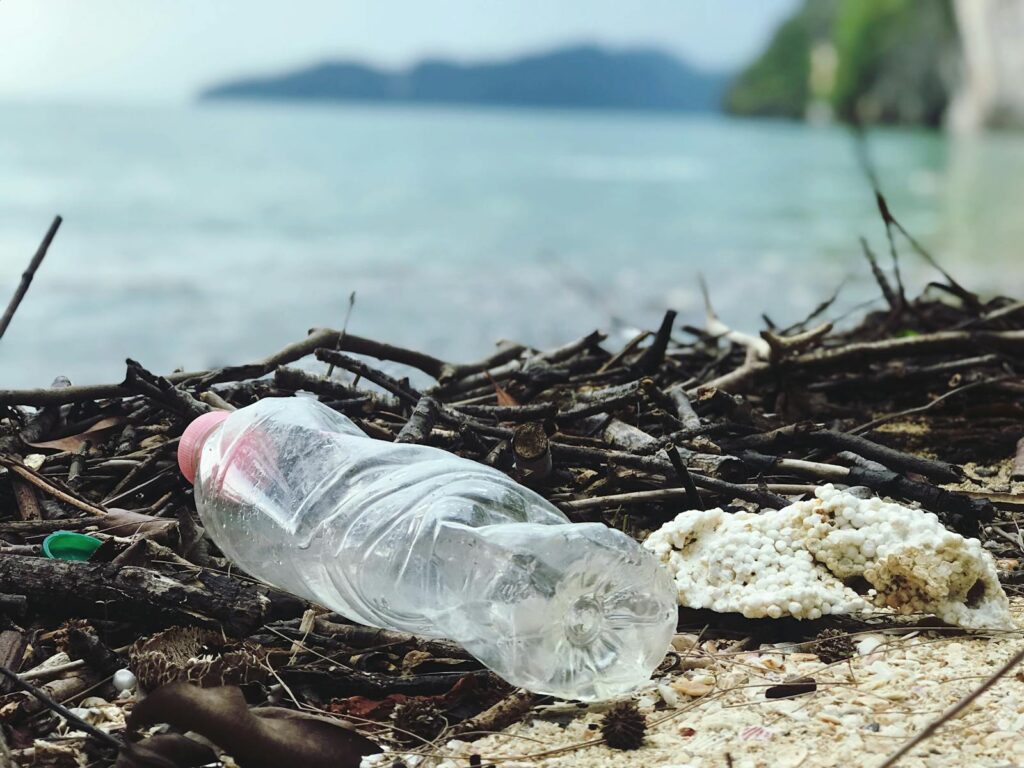 A discarded plastic bottle lies on a sandy beach among natural debris.