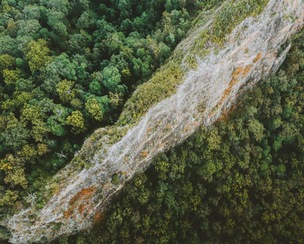A breathtaking aerial view of dense rainforest and rugged rocky ridge in Advancetown, QLD, Australia.