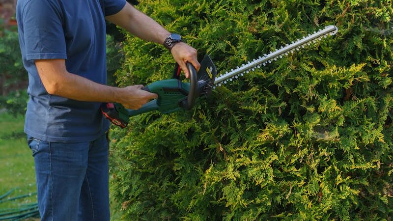 Man using an electric hedge trimmer to trim a garden shrub.