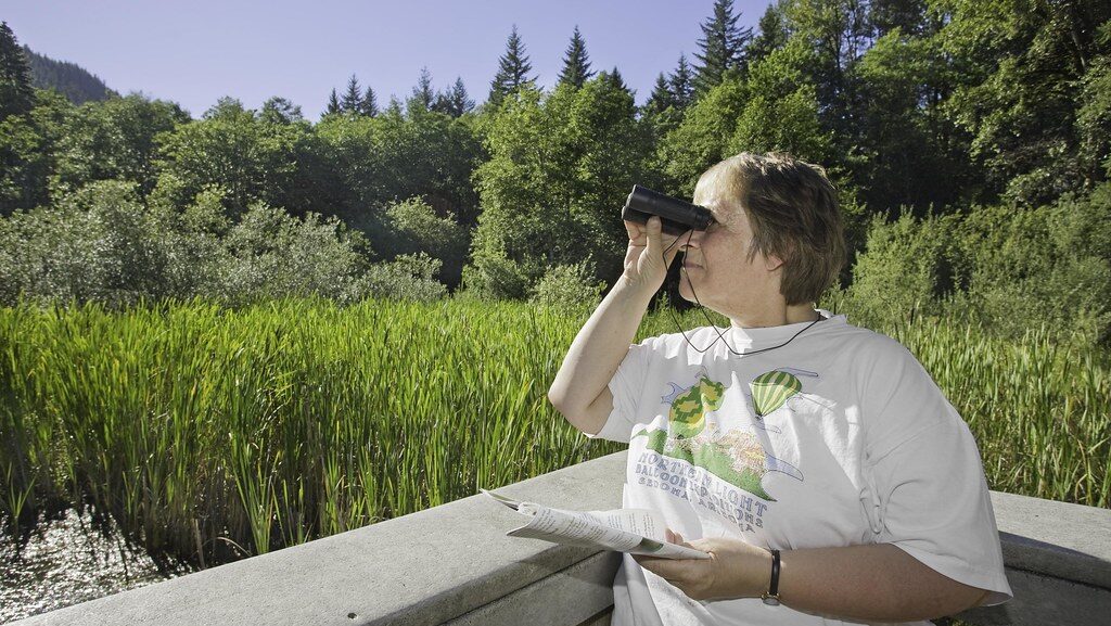 A researcher in the field looks through binoculars to watch a bird.