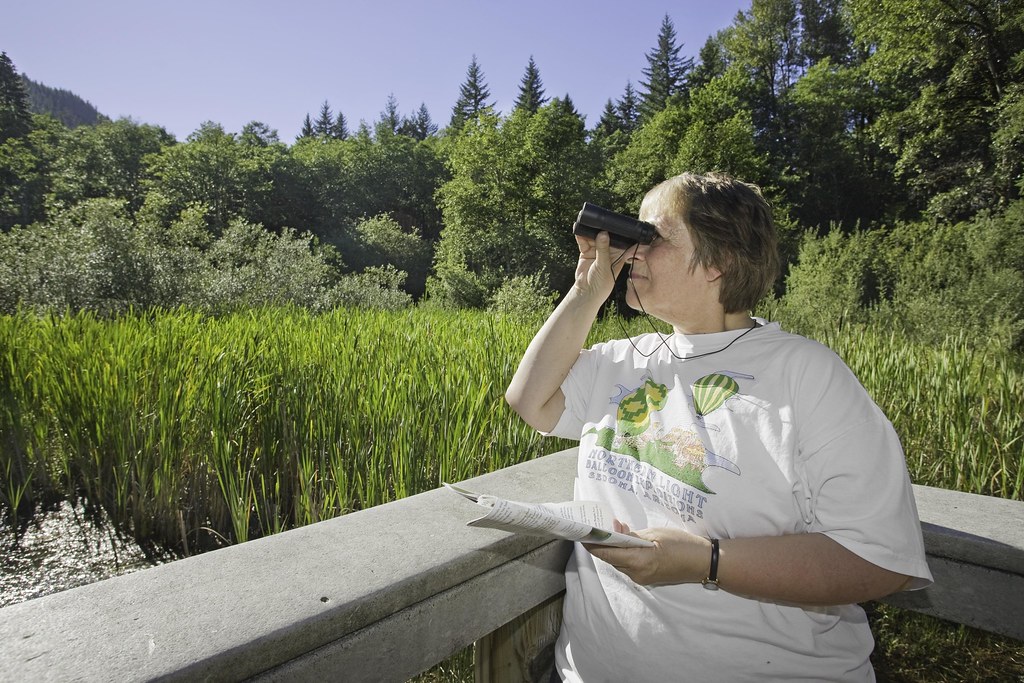 A researcher in the field looks through binoculars to watch a bird.